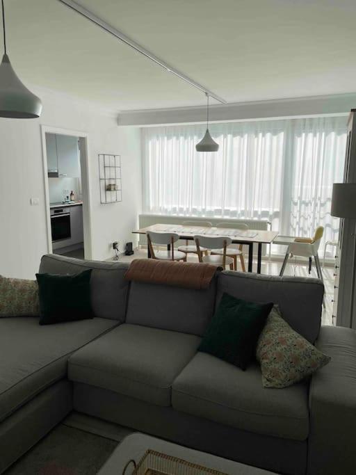 Residentie Piccadilly 2 Slpk Appartement Te Oostende, 4 Tot 5 Pers, Met Terras المظهر الخارجي الصورة